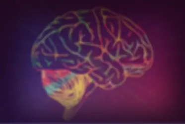 Семинар по психогенным болям