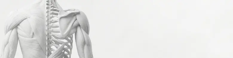 ODS Специалист по физической реабилитации