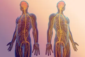 Продвинутый курс по периферической магнитной стимуляции