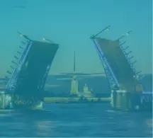 Мосты Здоровья. II Санкт-Петербургский конгресс-практикум по безоперационному лечению заболеваний суставов