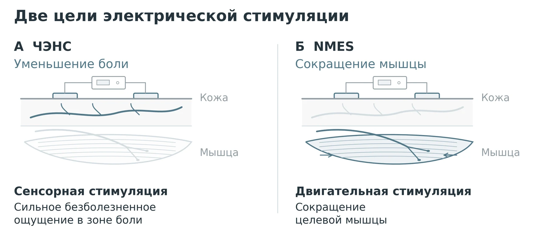 Рисунок 1. Цели ЧЭНС и нейромышечной электростимуляции (NMES). Схематическое изображение сенсорной и двигательной стимуляции.